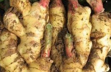 ����ʩ����ע��Ҫ�c��