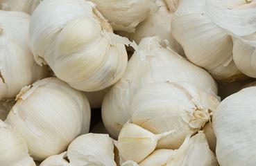 ����������ʵĿƌWʩ�÷�����