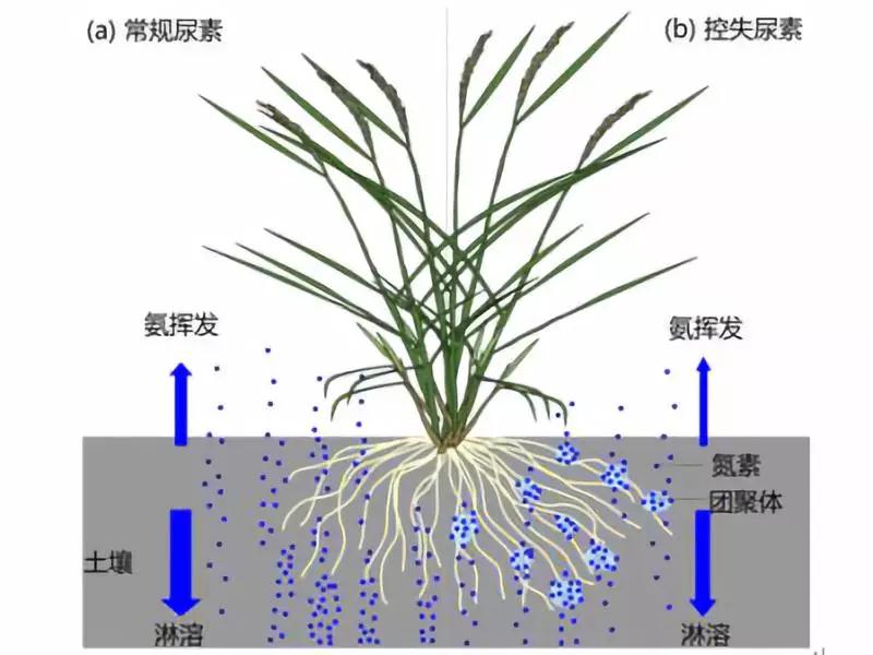 ������ʩ�ʲ������ﲻ�L������͛]���^���зʺ��᣿�������ʺ���ȫ֪�R��