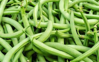 ����߲˵ĸ�Чʩ�ʷ�������Щ��