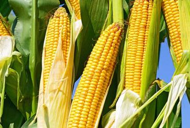 �ߜ؁��u������ˮ���Ầ����@�ӷ���