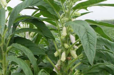 ֥��ʲô�r�g׷����������׷�ʣ�