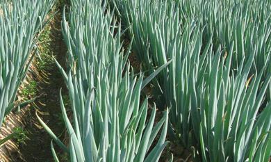 �Nֲ���[��ôʩ���ܸ߮a?