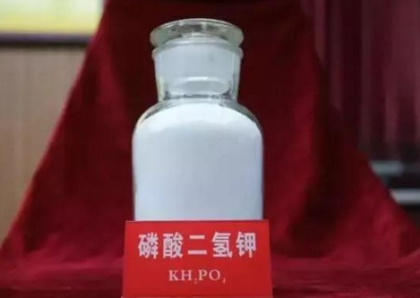 �I��������䡰�١������ǌ���������߀�����˽�