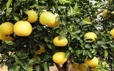 ������ôʩ�������a��