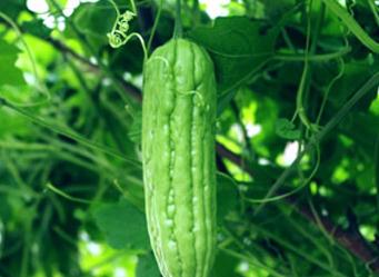 �ļ����ʩ�÷ʡ��������a