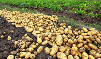 ��ô�ƌWʩ�ʲ��ܴ_���R����߮a��