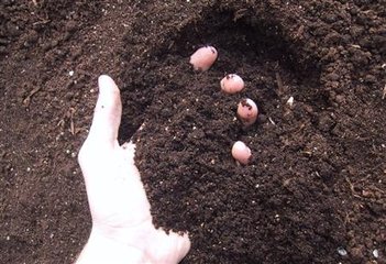 �h�x�ʺ�������ʩ��ʮ���ɣ�