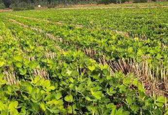 �����Nֲ�^��������A�����x�����ƌWʩ�ʣ�