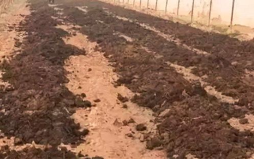 �߲˓Q��׷�զ�ã��ЙC�ʺͻ��ʻ�ʩ���@Щ���ܱ���˽⣡