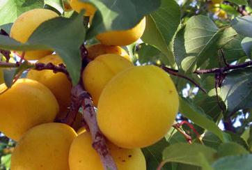 ����ʩ����õ�4���A��