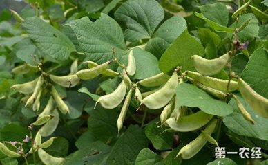 �ⶹ�������ʩ�ʣ�