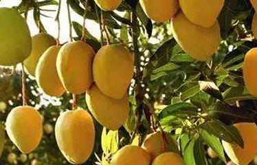 ���ӽoâ��ʩ�ʱ��߮a(ch��n)�أ�