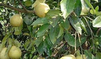 �֘�ʹ�������ЙC���֪Ҫ�c����Щ��