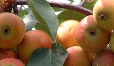 �O�����������ʩ�ʷ���