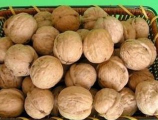 ���Ҳɺ�����a����΢��Ԫ�أ�ʩ�ʼ��g��