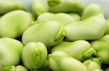 �Q�����ʩ�ʣ��Q��ʩ�ʼ���