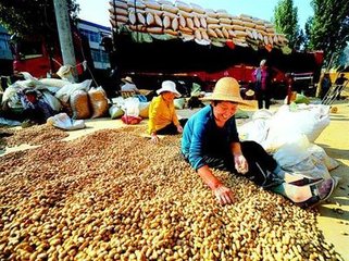 �����Nֲ�^��������A�����x�����ƌWʩ�ʣ�