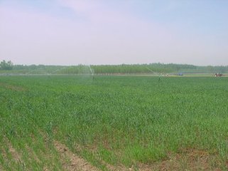 ���ⲻͬ�����ڵ����ʄӑB��B