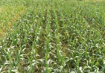 �������ʩ�ü��g(sh��)