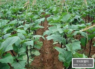 �������ڼ�ȫ���L��ʩ��Ҫ�c