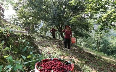 ��÷�ɹ���ʩʲô�ʣ�����Щע��Ҫ�c��