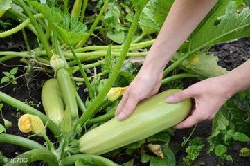 �����J��ôʩ���ܸ߮a(ch��n) �����J�ƌW(xu��)ʩ�ʷ���