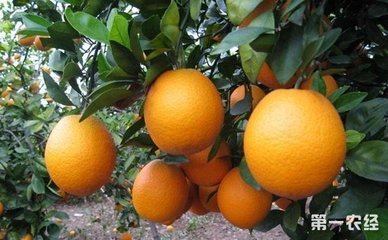 ��ʩ�����д��ڵ�5���[�������ľ�Ҫ�Դ�̝��