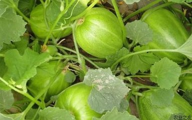 �����ʩ����ȸ�