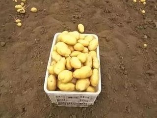 �R������ʩ�ʸ��ƌW�����r�ڑ����ʩ��