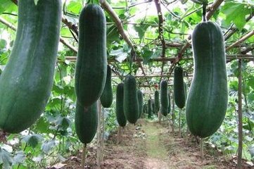 ���������a��ʩ�����P�I