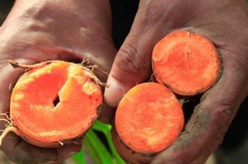 �}�����ģ��A����ʩ���