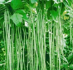 ��߶��ǵ�ʩ��Ч�ʴٸ߮a