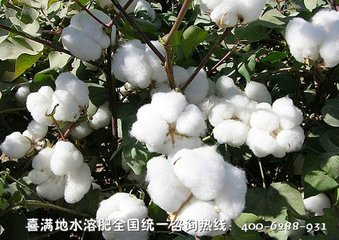 �޻�ʩ���ҷʼ��g