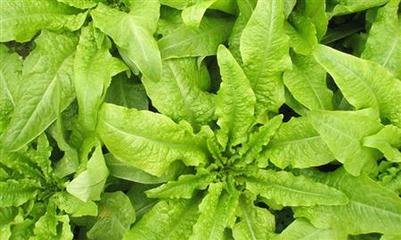 �n����߮a���n�S��ʩ��ע��Ҫ�c