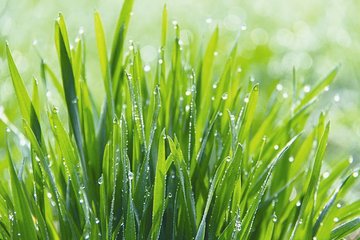 ˮ�ܷ�С�ٿ�