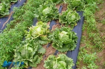 ����ʩ�ʼ��g(sh��)