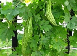 �����߲�ʩ�ʽ���