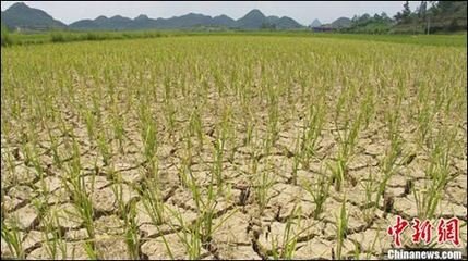 �ɺ��l��ʩ��Ҫ�c