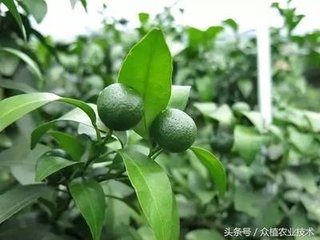 ��������ڲ����L���������@�ӷ������P�I