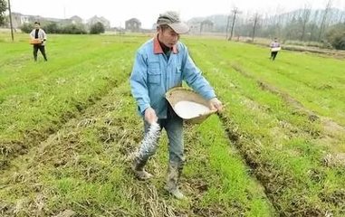 ���N����ʩ�����ҊЧ����Ч�ڕr�g��