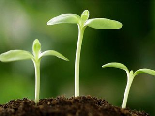 ��������A�������܁y��