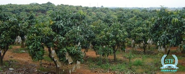 â��ʩ�ʼ��ɣ����˽���٣�