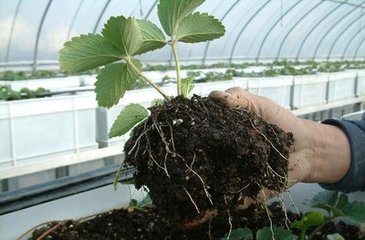 ������ʲ��Ƿ��ϣ���N��������ܻ��Æ᣿