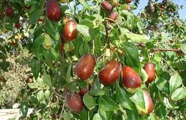 ������ʩ���ʁ�������a�������С��