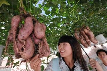 �t��ʩ���@��ʣ��@�ø߮a(ch��n)�����ģ�