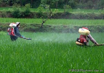 �rˎ����Խ��Խ�࣬��η�Ч�sԽ��Խ�