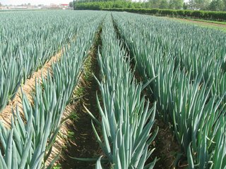 ���[��ôʩ�ʲ��ܸ߮a����οƌW�o���[ʩ�ʣ�