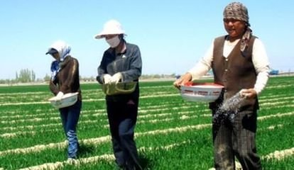 ���ϻ��ý��ɣ��y�÷��Ͽɲ��ǜp�a(ch��n)��ô��(ji��n)��