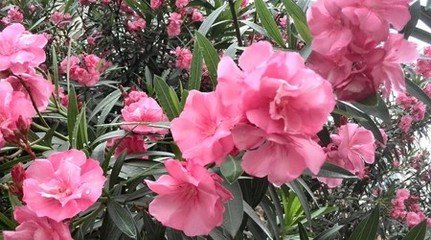 �A������ôʩ�ʣ��A���ҵ�ʩ�ʷ���